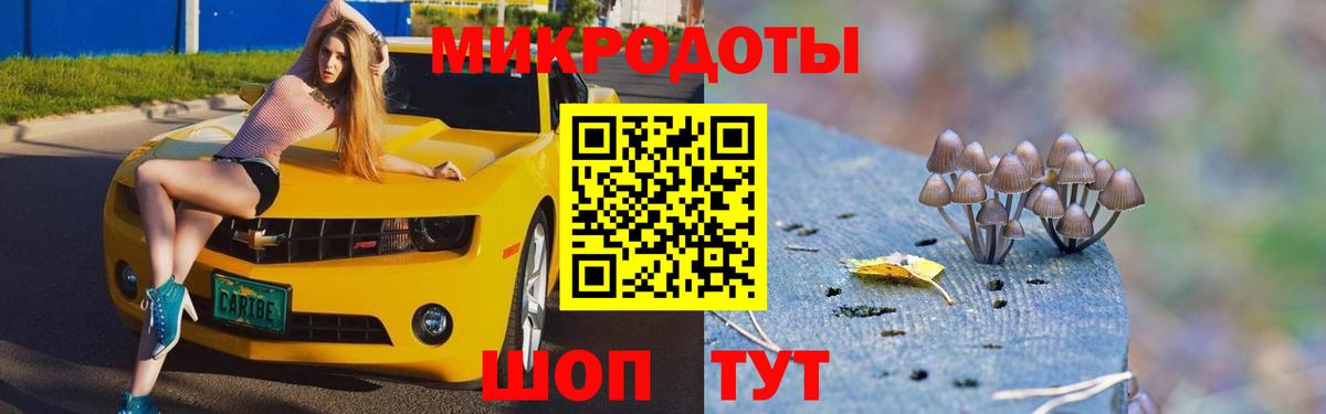 Псилоцибиновые грибы прущие грибы Славгород